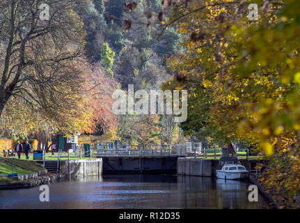 Autunno alberi lungo il fiume Tamigi a Cookham serratura, in Berkshire. Foto Stock