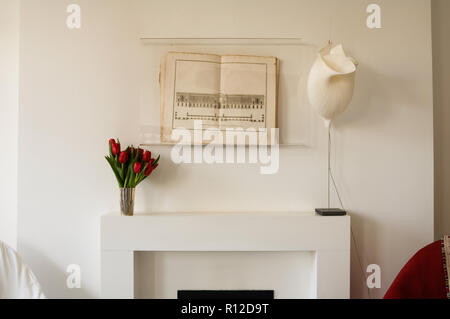 Prenota visualizzati su mantelpiece Foto Stock