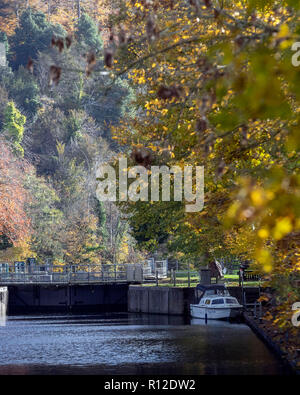 Autunno alberi lungo il fiume Tamigi a Cookham serratura, in Berkshire. Foto Stock