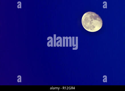 Luna piena al mattino all'alba sullo sfondo del cielo blu chiaro Foto Stock