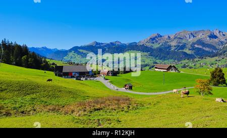 Vacanze in Svizzera Foto Stock