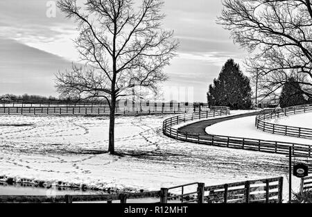 Bella in bianco e nero paesaggio invernale vista del cavallo fattoria con strada tortuosa con split-rail recinzione in legno ingresso. Foto Stock