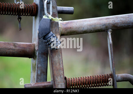 Combinazione bloccata con telaio metallico di gate farm a terreno coltivato nelle zone rurali Hampshire Foto Stock