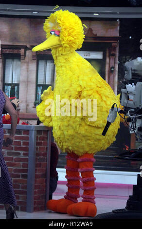 New York, NY, STATI UNITI D'AMERICA. 08 Nov, 2018. 2018 grosso uccello in mostra oggi a parlare di nuova stagione di Sesame Street a New York Novembre 08, 2018 Credit: Rw/media/punzone Alamy Live News Foto Stock