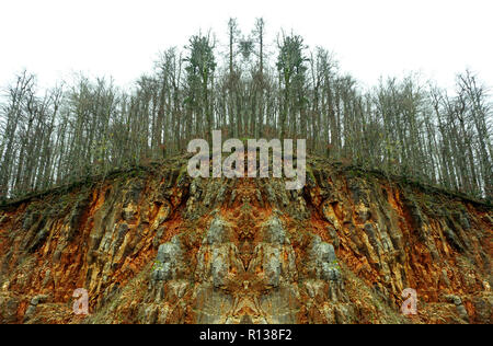 Vista astratta di malati albero nella foresta malato. Foreste di malati e di inquinamento del concetto di natura Foto Stock