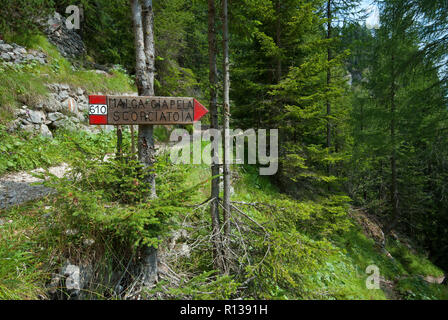 Percorso di legno segno fino a Malga Ciapela, Belluno, Veneto, Italia Foto Stock