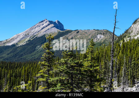 Scenario estivo su uno dei numerosi sentieri escursionistici a Kananaskis country, Alberta, Canada Foto Stock