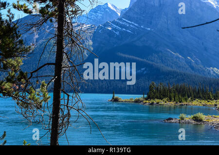 Scenario estivo su uno dei numerosi sentieri escursionistici a Kananaskis country, Alberta, Canada Foto Stock