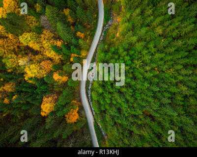 Top down drone vista sulla tortuosa strada attraverso la foresta di autunno. Foto Stock