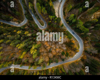 Curva strada attraverso la foresta atumn,aereo vista dall'alto in basso. Foto Stock