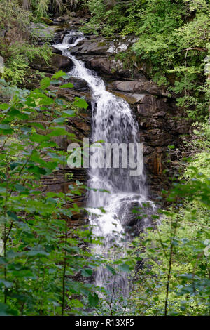 Upper Falls, Moness masterizzare, Birks di Aberfeldy, Perth & Kinross Foto Stock