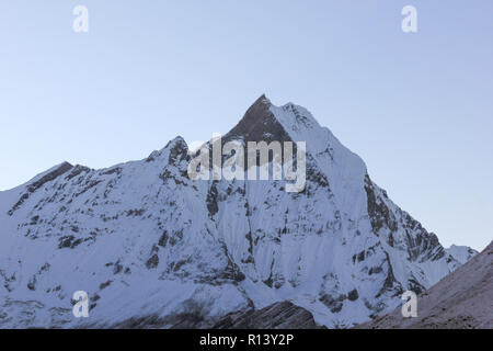 Machapuchare montagna con neve a sunrise in Annapurna Mountain Range dal campo base in Nepal. Vertice Unreacheable, sfida pericolosa concept Foto Stock