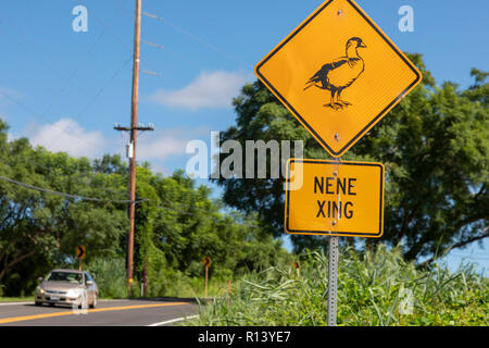 Puuanahulu, Hawaii - Un segno avverte i driver per essere consapevoli di nene, l'oca hawaiana. Il nene Hawaii è stato dell'uccello. Si è trovato solo in Hawaii ed è Foto Stock