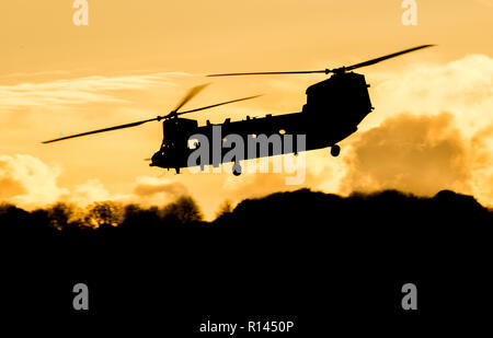 Trasporto Chinook elicottero militare Foto Stock