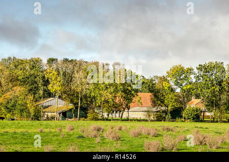 Noordoostpolder, Paesi Bassi, ottobre 24, 2018: casale circondato da alberi e pascoli naturali sull'ex isola di Schokland, ora parte della Foto Stock