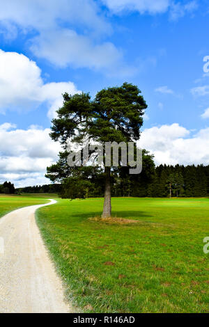 Unica struttura sul campo Foto Stock