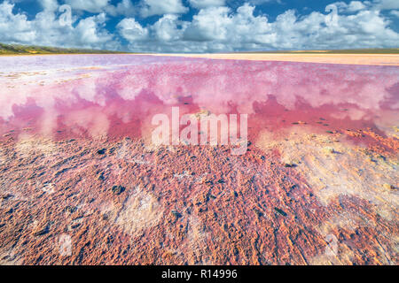 Il pittoresco rive rosa Salt Lake, Gregorio in Western Australia. Cielo blu con nuvole riflettono in laguna Hutt tra Geraldton e Kalbarri, con un vivido colore rosa per la presenza di alghe in estate Foto Stock
