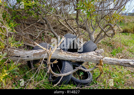 A lungo termine l'inquinamento ambientale il fly il ribaltamento di vecchi pneumatici e rifiuti oggetto di dumping in campagna Foto Stock