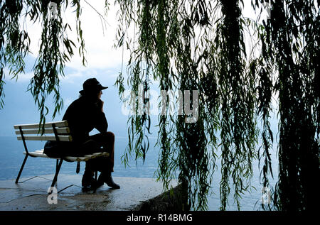 Donna che indossa hat seduto sotto un salice piangente albero lungo il lato del lago Chiemsee, Alta Baviera, Germania Foto Stock