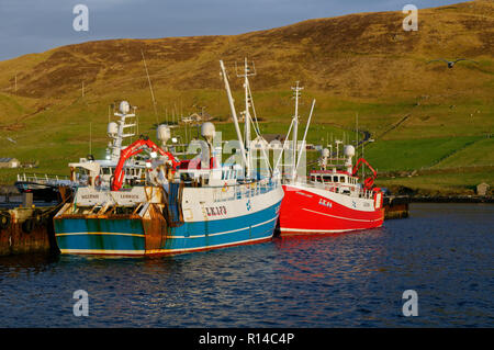 Barche da pesca in Scalloway, isole Shetland, Scotland, Regno Unito. Foto Stock