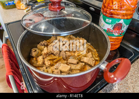 Pezzi di carne bollita usata per preparare la zuppa di nigeriani e salse Foto Stock