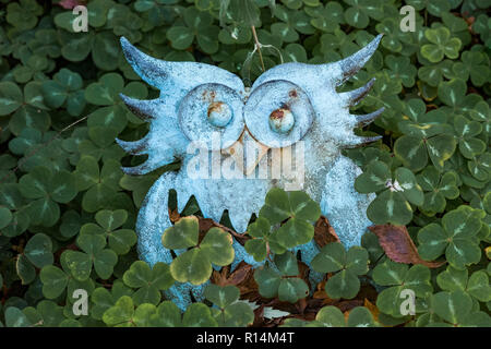 Il gufo di metallo, giardino ornamento, oxalis foglie, Foto Stock