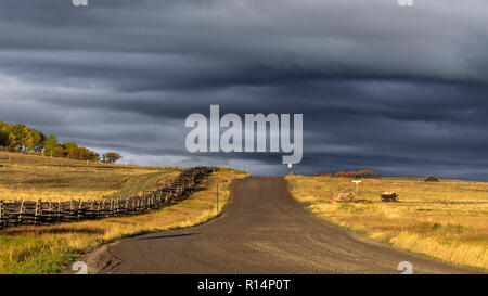 Il 3 ottobre 2018, Hastings Mesa, Colorado, Stati Uniti d'America - strada sterrata a Hastings Mesa conduce al deserto e praterie, Ridgway Colorado Foto Stock