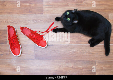 Un gatto nero sta giocando sul pavimento con red sneakers. Foto Stock