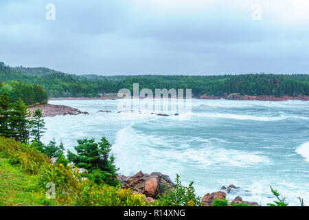 Paesaggio (vicino al ruscello nero Cove), a Cape Breton Highlands National Park, Nova Scotia, Canada Foto Stock