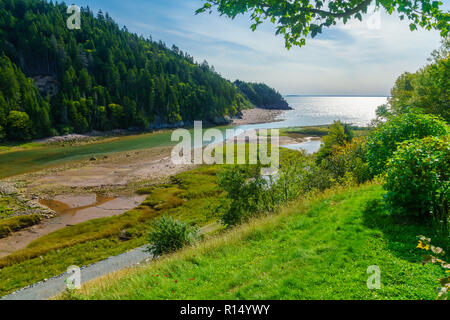 Vista del grande fiume di salmoni, in Fundy Trail Parkway Park, New Brunswick, Canada Foto Stock