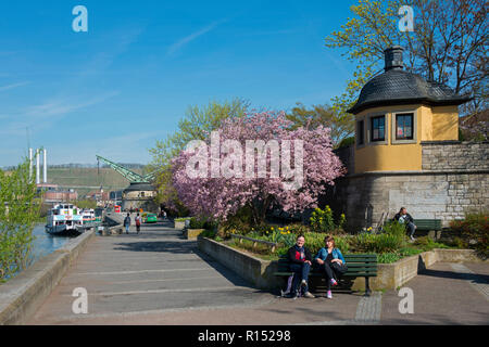 Waterfront, Principale, Wurzburg, bassa Franconia, Baviera, Germania Foto Stock