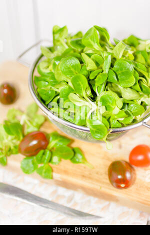 Carni di agnello di lattuga, pomodori e peperoni Foto Stock