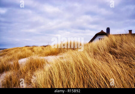 Panorama dalla casa dietro le dune presso il Mar Baltico. Foto Stock
