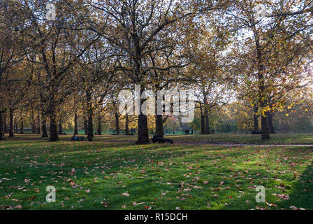 Il sole pomeridiano che filtra attraverso il colorato fogliame autunnale lungo la Broadwalk, Green Park, Londra centrale. Regno Unito. Foto Stock