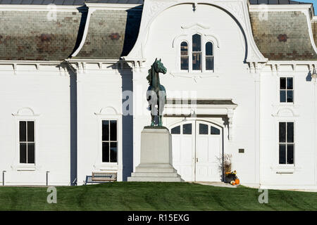 Morgan Horse Farm, Middlebury, Vermont, USA. Foto Stock