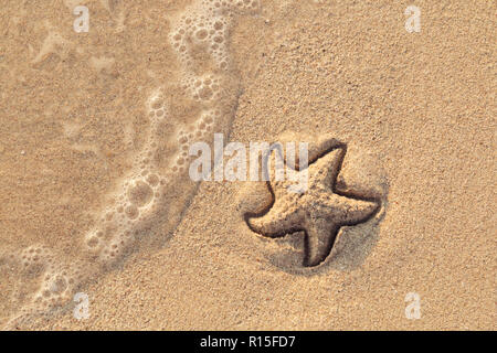 Starfish tracciata sulla spiaggia di sabbia di essere lavato via da un'onda. La formazione di schiuma sea wave provenienti per il lavaggio di un immagine su umido giallo sabbia dalla spiaggia. Vacanza e vocazione Foto Stock