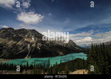 Il Lago Peyto,il Parco Nazionale di Banff, Western Canada Foto Stock