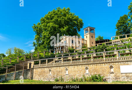 Winzerberg, ex royal vigneto presso il castello Sanssouci a Potsdam, Germania Foto Stock