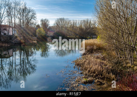 Vista del fiume Carrion nella città di Palencia (Castiglia e Leon), Spagna Foto Stock