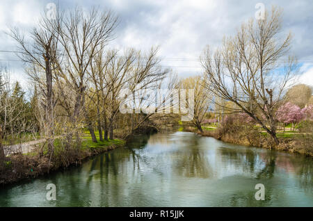 Vista del fiume Carrion nella città di Palencia (Castiglia e Leon), Spagna Foto Stock