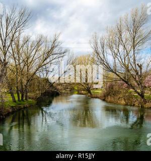 Vista del fiume Carrion nella città di Palencia (Castiglia e Leon), Spagna Foto Stock