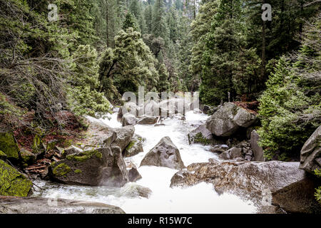 Fiume nel Parco Nazionale di Yosemite Foto Stock