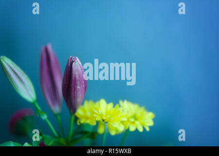 Bouquet di gigli e margherite giallo nella parte anteriore di uno sfondo turchese Foto Stock