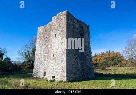 Threecastles Tower House, Blessington, County Wicklow, Irlanda Foto Stock