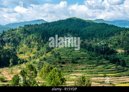 I campi di passo-passo in Bageswar - Himalaya Foto Stock