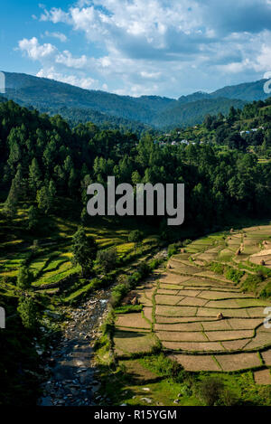 I campi di passo-passo in Bageswar - Himalaya Foto Stock