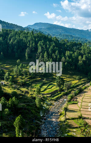 I campi di passo-passo in Bageswar - Himalaya Foto Stock