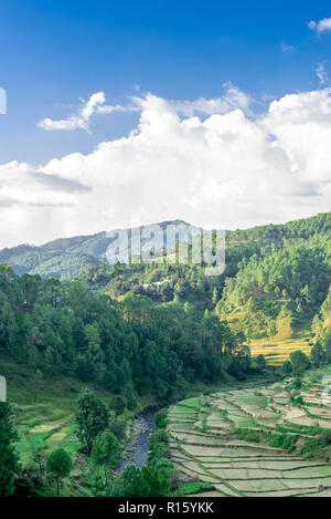 I campi di passo-passo in Bageswar - Himalaya Foto Stock
