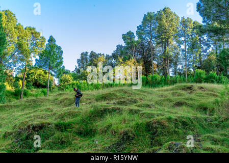 I campi di passo-passo in Bageswar - Himalaya Foto Stock