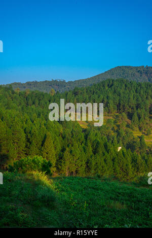 Fattoria in Bageswar, Uttrakhand, India Foto Stock